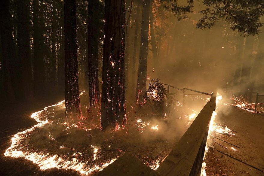 FILE - In this Aug. 20, 2020, file photo The CZU August Lightning Complex fire consumes trees and a fence along Empire Grade Road in the Santa Cruz Mountains community of Bonny Doon near Santa Cruz, Calif. Months-old embers from a deadly California fire were blown back to life Tuesday, Jan. 19, 2021, by powerful winds that raked the state and prompted safety blackouts to tens of thousands of people. The state's firefighting agency says Tuesday it has responded to at least a dozen vegetation fires in San Mateo and Santa Cruz counties in 12 hours. (Shmuel Thler/The Santa Cruz Sentinel via AP, File)