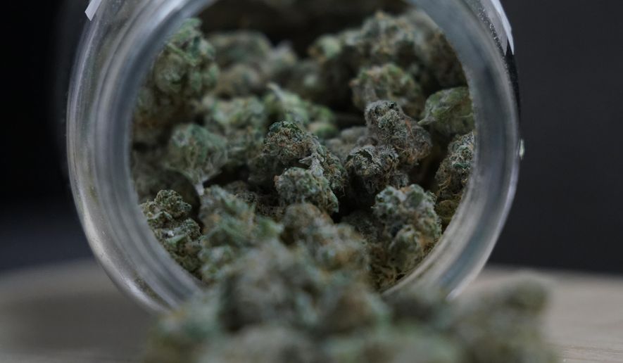 Marijuana buds are shown at Huron View Provisioning in Ann Arbor, Mich., Thursday, Jan. 28, 2021. The first year of state-licensed recreational marijuana sales in Michigan saw $511 million of sales in recreational and $474 million in medical sales, generating over $100 million in tax revenue, but the state also found that the industry drastically failed to attract minority business owners. (AP Photo/Paul Sancya)