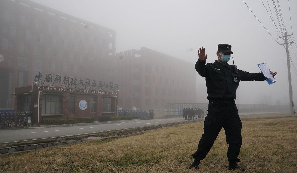 NextImg:President of EcoHealth Alliance to testify to Congress; firm tied to risky research at Wuhan lab