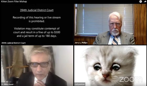 This image from video shows a hearing from the 394th Judicial District Court of Texas. The hearing took a detour when an attorney showed up looking like a kitten. A filter that had been activated on the attorney&#x27;s device obscured his appearance and made him look like a cat. Judge Roy Ferguson shared the short video clip of the mishap on YouTube. The judge says everyone involved handled the situation with professionalism and grace. (Texas Department of Criminal Justice via AP)