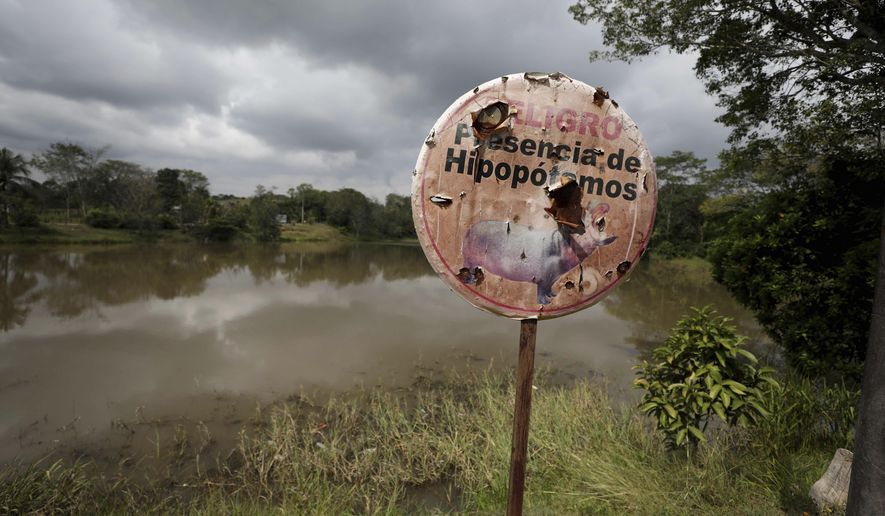 A hippo warning stands on the shore of a lagoon near Doral, Colombia, Wednesday, Feb. 3, 2021. The offspring of hippos illegally imported to Colombia by drug kingpin Pablo Escobar in the 1980s are flourishing in the lush area and experts are warning about the dangers of the growing numbers.  (AP Photo/Fernando Vergara)