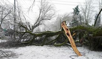 A large blocks the road along NE 24th Avenue, Monday, Feb. 15, 2021, in Portland, Ore., after a weekend winter storm toppled it. (Beth Nakamura/The Oregonian via AP)