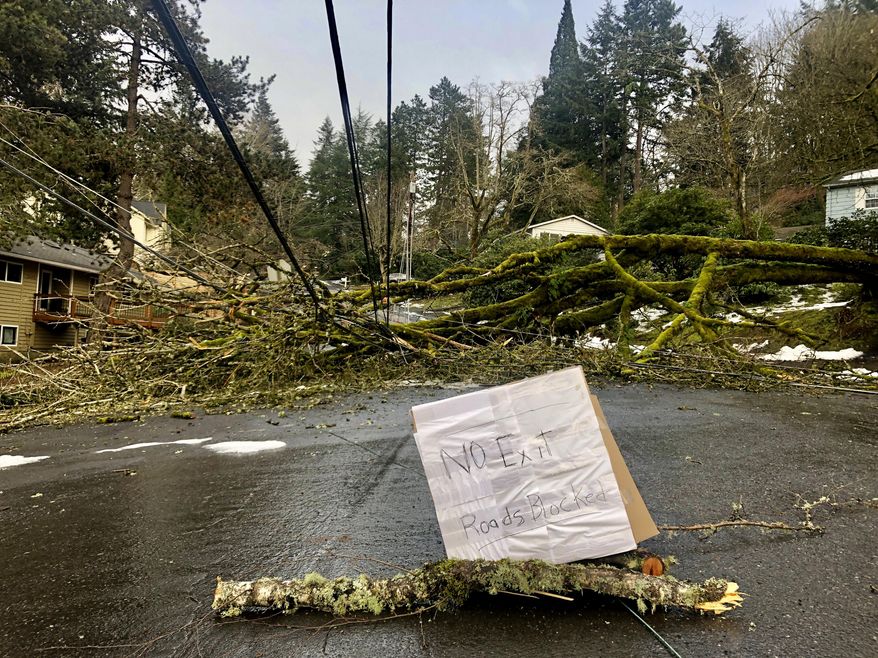 A large tree downed in a weekend ice storm sits atop power lines on Wednesday, Feb. 17, 2021 in Lake Oswego, Ore. Nearly 150,000 customers remained without power Wednesday in and around Portland, Oregon, nearly a week after a massive snow and ice storm swept into the Pacific Northwest, taking out hundreds of miles of power lines as ice-laden trees toppled. (AP Photo/Gillian Flaccus)