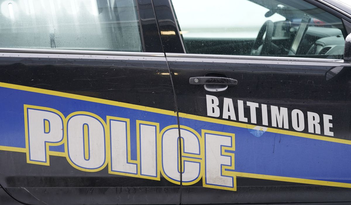 NextImg:Baltimore shoplifter charged with attempted murder for hitting cops with car