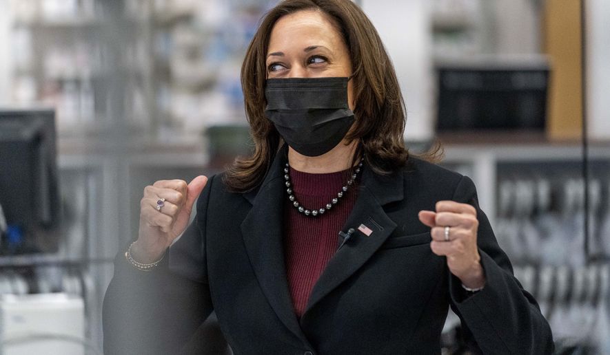 Vice President Kamala Harris speaks to a pharmacist before watching a COVID-19 vaccine administered at a Giant Foods grocery store, Thursday, Feb. 25, 2021, in Washington. (AP Photo/Andrew Harnik)