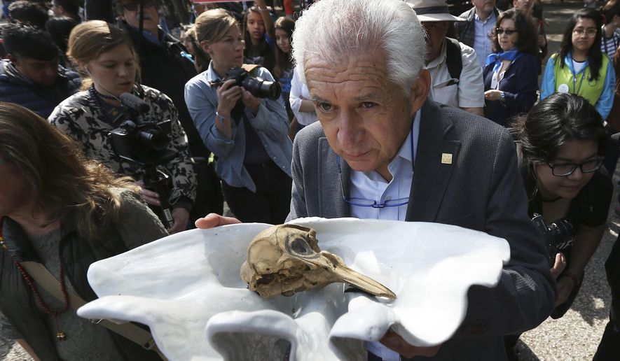 FILE - In this Feb. 17, 2018 file photo, an activist carries a vaquita porpoise skull on a conch as activists and artists during a procession for the critically endangered vaquita porpoise in Mexico City. The Mexican government said Saturday, Feb. 27, 2021, it is considering reducing the protection area for the vaquita marina in the upper Gulf of California, an apparent admission that the tiny porpoise may never return to the entire historic range of its habitat. (AP Photo/Marco Ugarte, File)