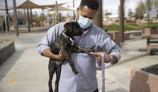 Ronald Pipkins, who was the first presumptive positive case of COVID-19 in Nevada, walks his dog at Siegfried and Roy Park in Las Vegas, on Feb. 20, 2021. A year after he became &amp;quot;Patient Zero&amp;quot; in Nevada&#x27;s COVID-19 outbreak, Ronald Pipkins is still battling the lingering effects of the coronavirus. He gets up to do something but forgets why. &amp;quot;My body&#x27;s not ready yet,&amp;quot; the retired Marine told the Las Vegas Review-Journal. &amp;quot;And that&#x27;s kind of depressing because I&#x27;m a Marine.&amp;quot; (Erik Verduzco/Las Vegas Review-Journal via AP)
