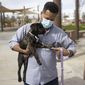 Ronald Pipkins, who was the first presumptive positive case of COVID-19 in Nevada, walks his dog at Siegfried and Roy Park in Las Vegas, on Feb. 20, 2021. A year after he became &amp;quot;Patient Zero&amp;quot; in Nevada&#x27;s COVID-19 outbreak, Ronald Pipkins is still battling the lingering effects of the coronavirus. He gets up to do something but forgets why. &amp;quot;My body&#x27;s not ready yet,&amp;quot; the retired Marine told the Las Vegas Review-Journal. &amp;quot;And that&#x27;s kind of depressing because I&#x27;m a Marine.&amp;quot; (Erik Verduzco/Las Vegas Review-Journal via AP)