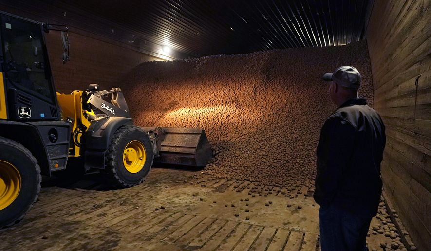 In a March 11, 2021 photo, potato farmer Brian Sackett watches as potatoes are moved from a storage bin at his farm in Mecosta, Mich. For generations, Sackett's family has farmed potatoes that are made into chips. About 25% of the nation's potato chips get their start in Michigan, which historically has had reliably cool air during September harvest and late spring but now is getting warmer temperatures. (AP Photo/Carlos Osorio)