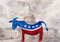 B1-MCKE-Weak-Horse-.jpg