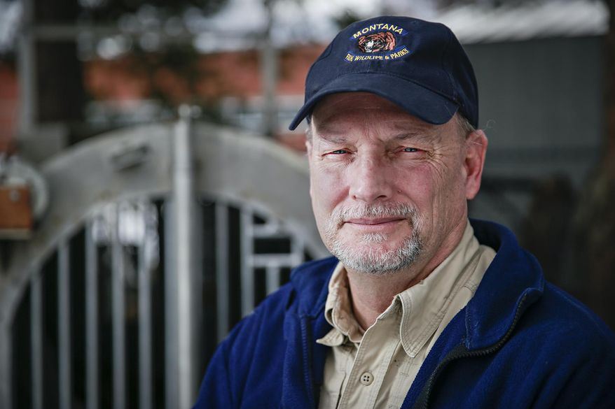 Tim Manley, Grizzly Bear Management Biologist for Montana Fish, Wildlife & Parks, stands besides bear traps in storage at Region 1 Headquarters in Kalispell on Feb. 26, 2021. Back in the late ’80s, Manley and his research colleagues were just laying the early groundwork for cataloging grizzlies in some of the wildest, most remote habitat in the Lower 48 — the South Fork Flathead River corridor, which cuts through the heart of the Bob Marshall Wilderness south of Glacier National Park.(Hunter D'Antuono/Flathead Beacon via AP)