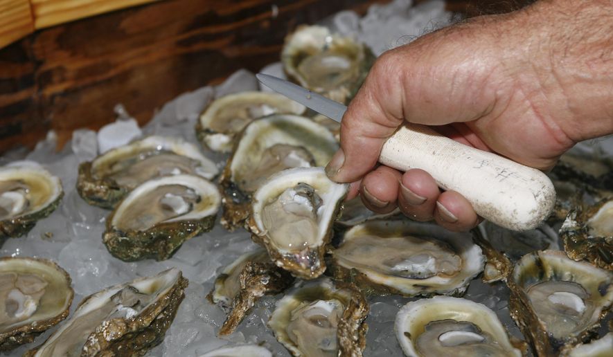 In this Aug. 13, 2013, file photo, oysters are displayed in Apalachicola, Fla.  (AP Photo/Phil Sears, File)