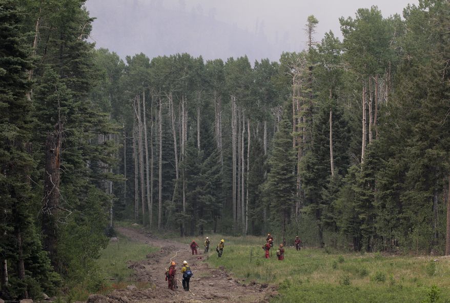 FILE - In this July 1, 2011, file photo, inmate firefighters and firefighters with U.S. Forest Service stand on a ski slope as they conduct a burnout operation during the Las Conchas fire near Los Alamos, N.M. Restoring forests, using fire as a management tool and getting more buy-in from private land owners are among the strategies outlined in New Mexico's latest forest action plan. The state Forestry Division released the plan Monday, April 12, 2021. (AP Photo/Jae C. Hong, File)