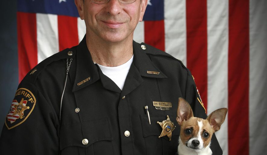 This 2006 image provided by John Hoffart shows then Sheriff Dan McClelland and his small police dog Midge at the Geauga County, Ohio, sheriff's department. Both died on Wednesday, April 14, 2021. McClelland after a lengthy battle with cancer and Midge, perhaps, of a broken heart. The family said they will be buried together. McClelland retired in 2016, after 13 years as sheriff, and 44 total in the department. The last ten with Midge, a drug-sniffing Chihuahua-rat terrier mix certified by Guinness World Records as the smallest police dog on the globe. (John Hoffart via AP)
