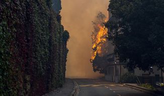A building burns on the campus of the University of Cape, South Africa, Sunday, April 18, 2021. A wildfire raging on the slopes of the mountain forced the evacuation of students from the University. (AP Photo)