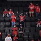 Fans cheer during the third period of an NHL hockey game between the Washington Capitals and the New York Islanders, Tuesday, April 27, 2021, in Washington. The Capitals won 1-0. (AP Photo/Nick Wass)