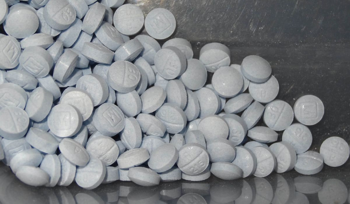NextImg:Customs and Border Protection officials seize fentanyl pills at Arizona-Mexico border
