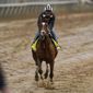Kentucky Derby entrant Mandaloun works out at Churchill Downs Thursday, April 29, 2021, in Louisville, Ky. The 147th running of the Kentucky Derby is scheduled for Saturday, May 1. (AP Photo/Charlie Riedel) **FILE**