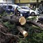 In this photo released by China&#39;s Xinhua News Agency, people drive past fallen trees along a road in Nantong in eastern China&#39;s Jiangsu Province, Saturday, May 1, 2021. Several people were killed and more than 100 injured after an extreme thunderstorm in an eastern Chinese city, with strong winds causing buildings and trees to collapse. (Song Chenglin/Xinhua via AP)