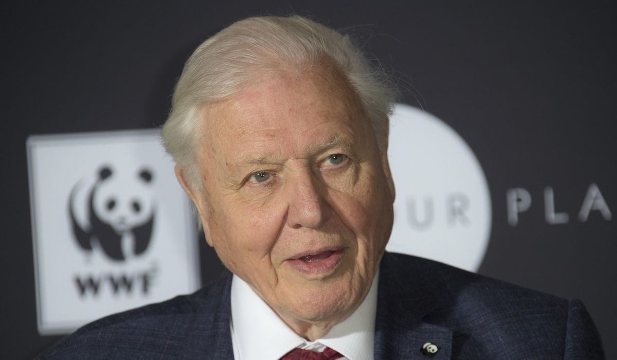 NextImg:Mammal named for David Attenborough spotted for first time in 6 decades