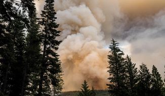The Dixie Fire burns in Lassen National Forest, Calif., near Jonesville on Monday, July 26, 2021. (AP Photo/Noah Berger)