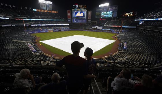 Fans wait in the stands after a rain delay was called during a baseball game between the New York Mets and the Washington Nationals, Tuesday, Aug. 10, 2021, in New York. (AP Photo/Mary Altaffer)