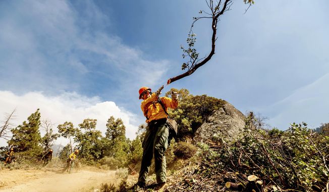 A member of the Roosevelt Hotshot Crew clears a firebreak while battling the Windy Fire on Thursday, Sept. 16, 2021, on the Tule River Reservation, Calif. His crew, which travelled from Colorado, has been battling California wildfires. (AP Photo/Noah Berger)