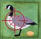 B4-RAHN-Goose-Targe.jpg
