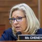 Rep. Liz Cheney, R-Wyo., speaks during the House Armed Services Committee on the conclusion of military operations in Afghanistan and plans for future counterterrorism operations on Wednesday, Sept. 29, 2021, on Capitol Hill in Washington. (Rod Lamkey/Pool via AP)