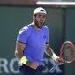 Matteo Berrettini, of Italy, reacts after beating Alejandro Tabilo, of Chile, in a match at the BNP Paribas Open tennis tournament Sunday, Oct. 10, 2021, in Indian Wells, Calif. (AP Photo/Mark J. Terrill)