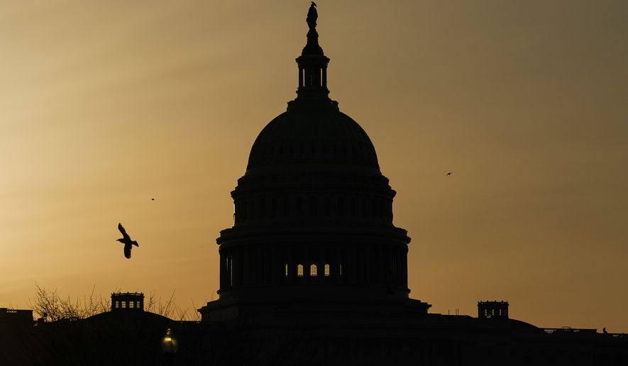 In this March 4, 2021, file photo, a bird flies near the U.S. Capitol dome at sunrise in Washington. The Republican fundraising committee dedicated to flipping the House in the 2022 midterm elections says it raised more than $105 million this year through September 2021. The record haul marks a 74% increase over the last cycle and includes $25.8 million raised in the third quarter of the year. (AP Photo/Carolyn Kaster, File)