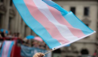 Transgender flag at LGBT gay pride march. Photo credit: Ink Drop via Shutterstock. ** FILE **