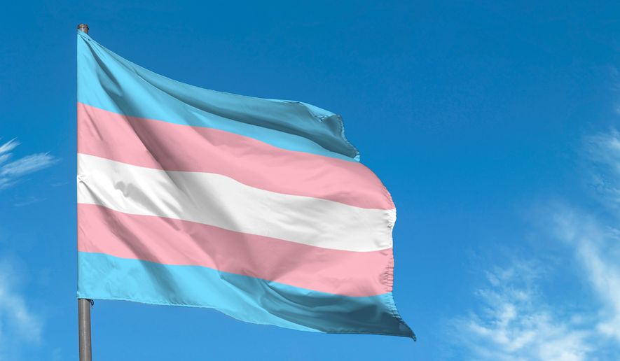 A transgender flag waving against the blue sky. Photo credit: Savvapanf Photo via Shutterstock. *FILE*