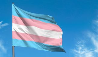 A transgender flag waving against the blue sky. Photo credit: Savvapanf Photo via Shutterstock. *FILE*