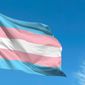 A transgender flag waving against the blue sky. Photo credit: Savvapanf Photo via Shutterstock. *FILE*