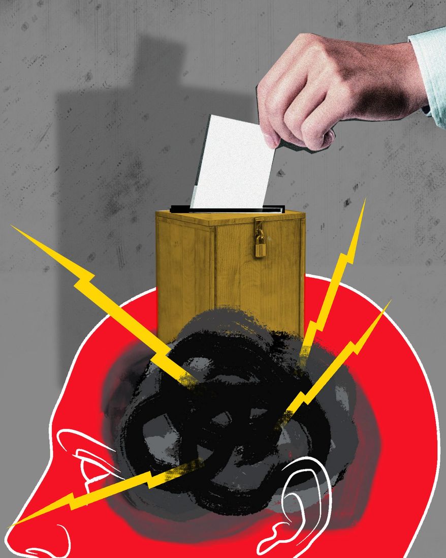 Voters Take Control of Election Illustration by Linas Garsys/The Washington Times