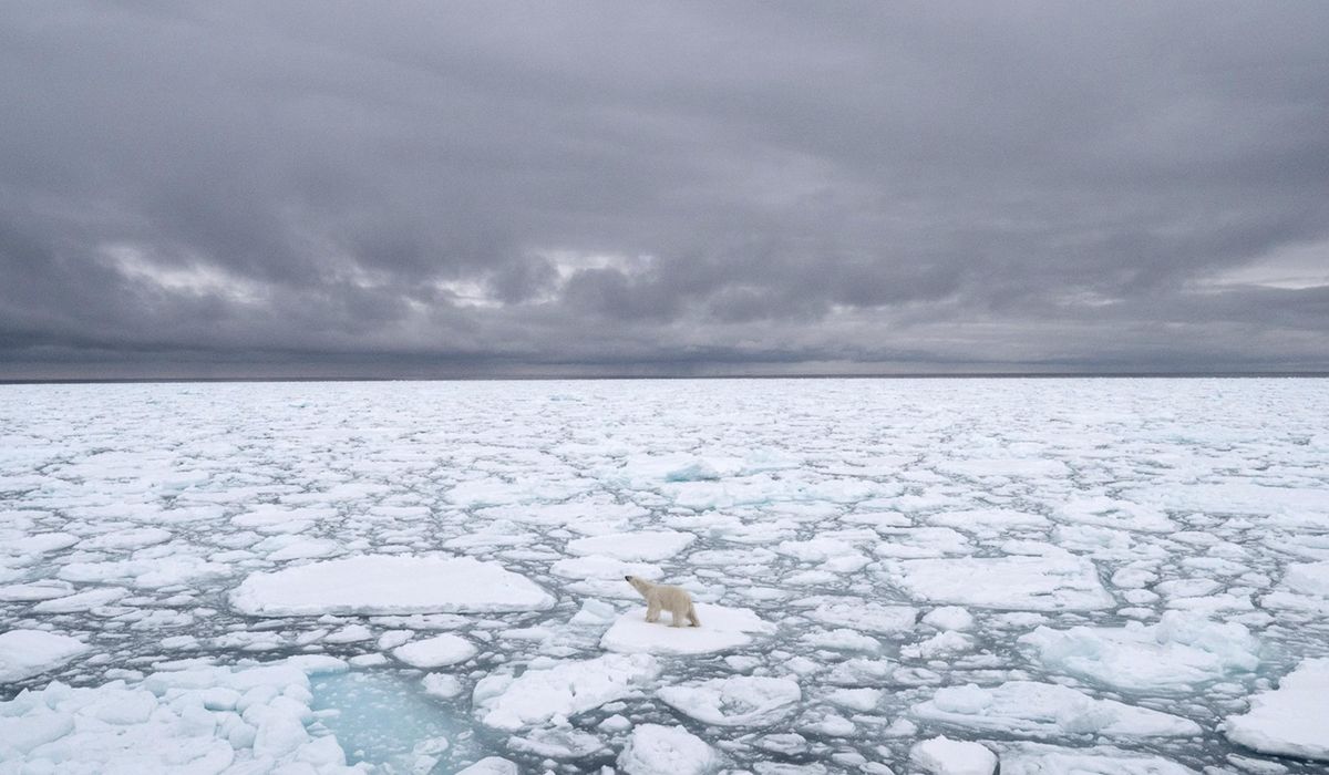 NextImg:Polar ice melt is changing Earth’s rotation, messing with time itself