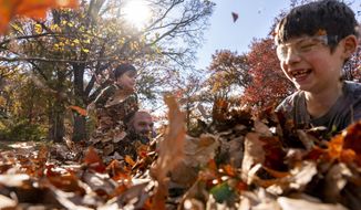 Off from school due to the Thanksgiving holiday this week, Felix Naranch, 7, right, and his brother Asa Naranch, 3, play with their father Stu Naranch in a pile of fall leaves that they raked together in a park, Tuesday, Nov. 23, 2021, in Washington. (AP Photo/Jacquelyn Martin)