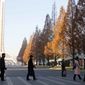 People walk in the Ryomyong Street in Pyongyang, North Korea, on Nov. 25, 2021. (AP Photo/Cha Song Ho)