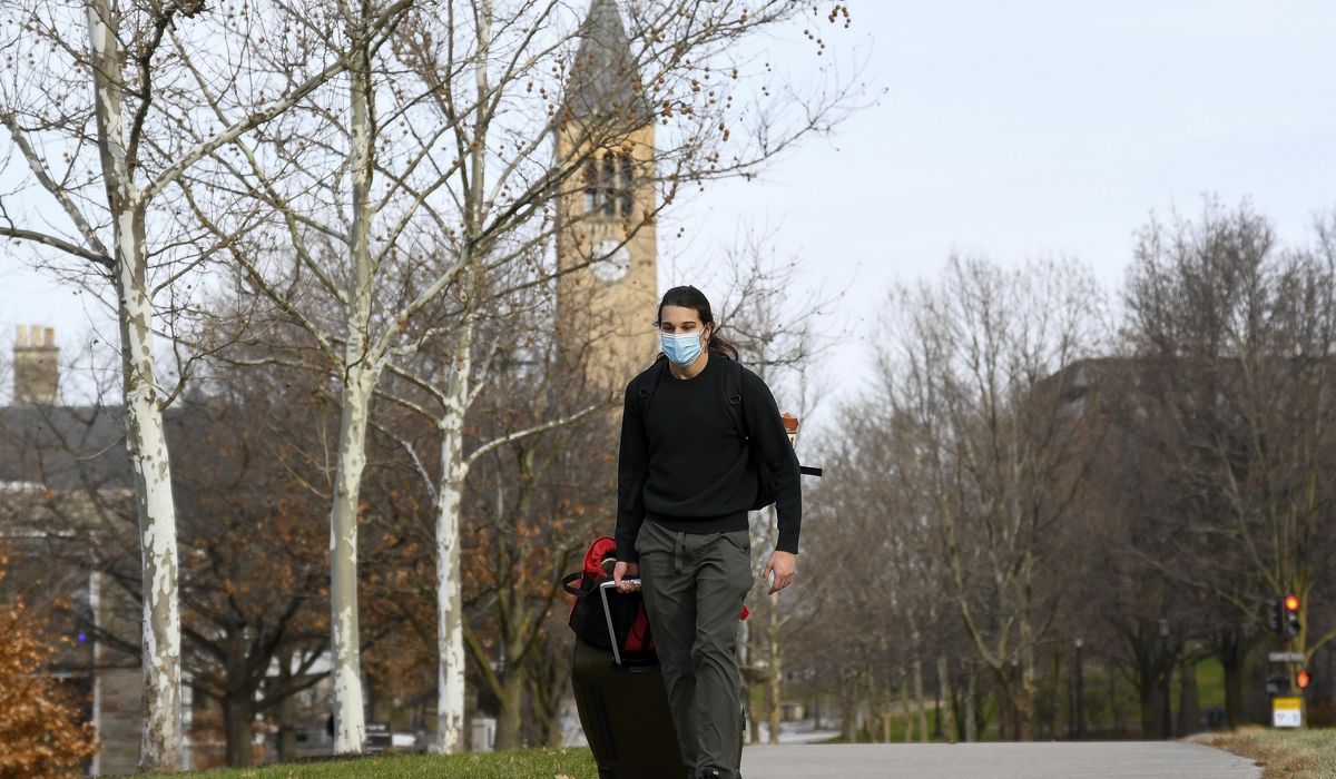 NextImg:Report: Spring undergraduate college enrollment still short of pre-pandemic numbers