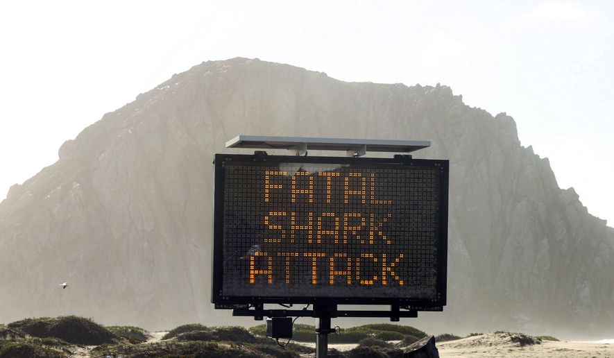 A sign advises about a shark attack Friday, Dec. 24, 2021 in Morro Bay, Calif. A surfer was killed in an apparent shark attack on Christmas Eve off the central coast of California, authorities said. (David Middlecamp/The Tribune (of San Luis Obispo) via AP)