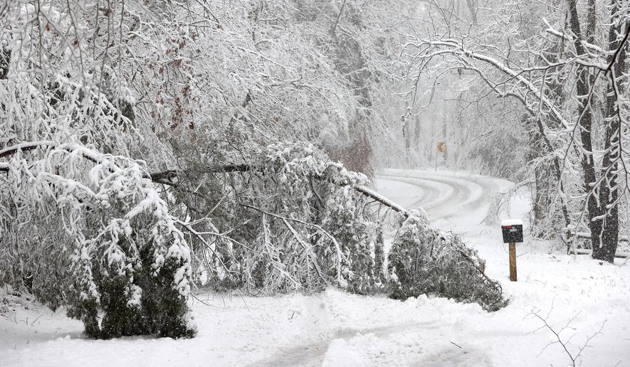 Trees laden with snow lie on Greenwood Church Road in Hanover County, Va., during a snowstorm Monday, Jan. 3, 2022. (Alexa Welch Edlund/Richmond Times-Dispatch via AP)