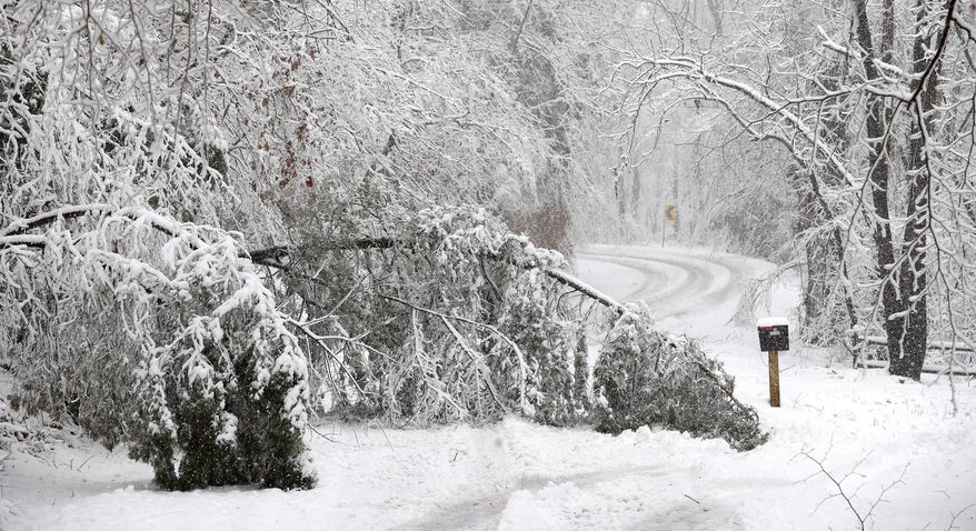 Trees laden with snow lie on Greenwood Church Road in Hanover County, Va., during a snowstorm Monday, Jan. 3, 2022. (Alexa Welch Edlund/Richmond Times-Dispatch via AP)