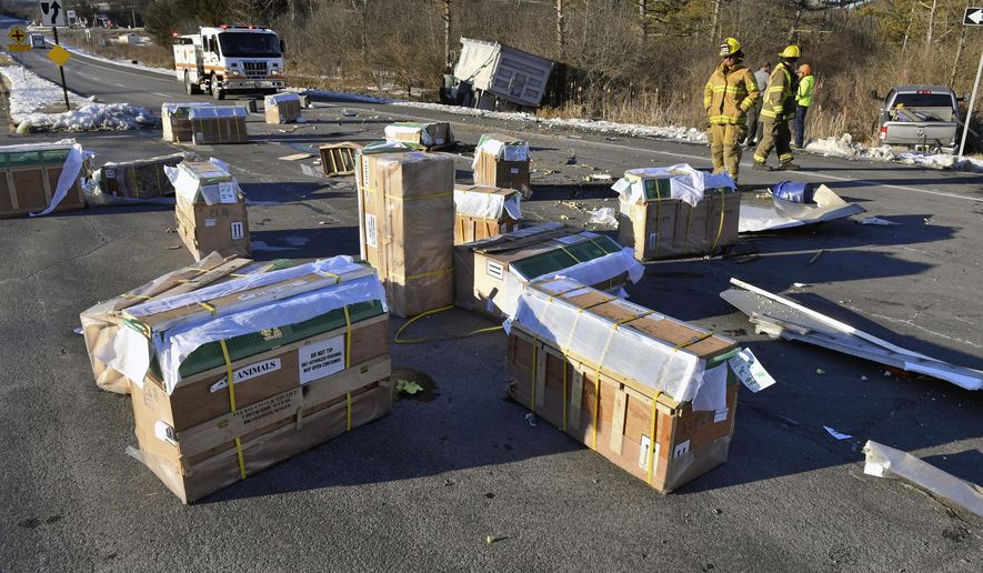 Crates holding live monkeys are scattered across the westbound lanes of state Route 54 at the junction with Interstate 80 near Danville, Pa., Friday, Jan. 21, 2022, after a pickup pulling a trailer carrying the monkeys was hit by a dump truck. They were transporting 100 monkeys and several were on the loose at the time of the photo. (Jimmy May/Bloomsburg Press Enterprise via AP)