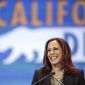 Then California State Attorney General Kamala Harris speaks to California Democrats at the California Democrats State Convention in Anaheim, Calif., on Saturday, May 16, 2015. Supreme Court Justice Stephen G. Breyer&#39;s retirement could pave the way for President Biden to put Vice President Kamala Harris on the nation&#39;s highest court. (AP Photo/Damian Dovarganes, File)