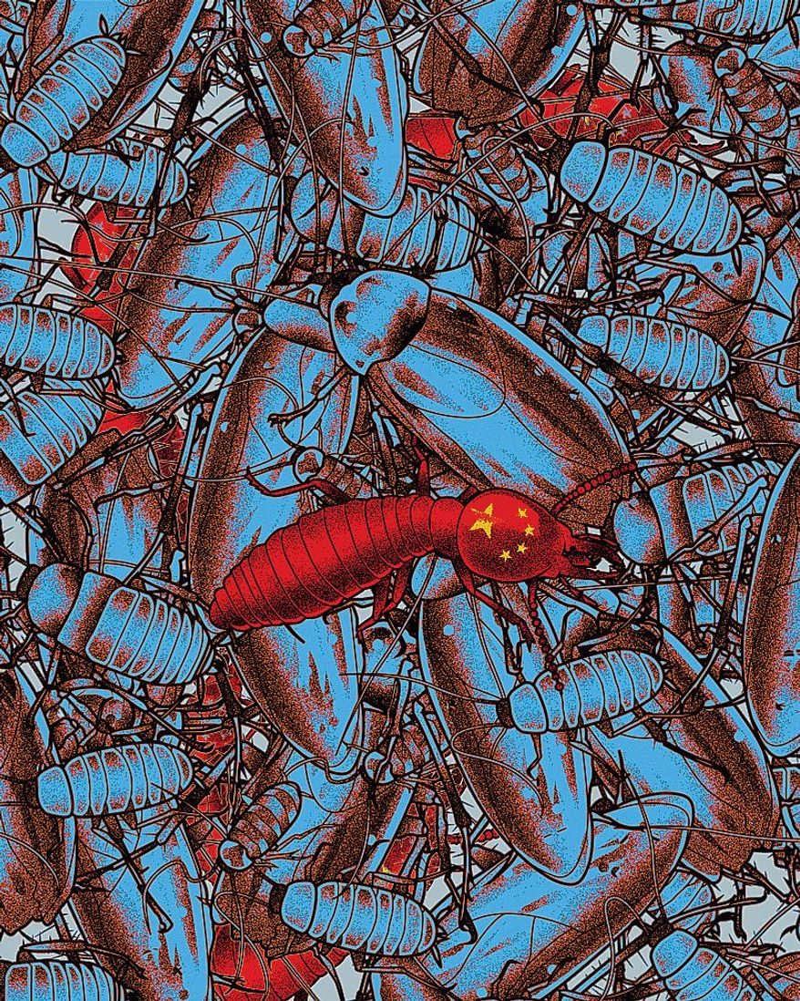 Communist Party Termites Illustration by Linas Garsys/The Washington Times