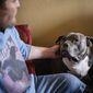 Spencer Parks, 33, pets his sweet Staffordshire Terrier mix, Duchess, in their hotel room on Friday, Jan. 21, 2022, in Winston-Salem, N.C. &amp;quot;They say don&#39;t choose a dog, let the dog choose you,&amp;quot; Parks said. &amp;quot;She chose me. That dog is my soulmate.&amp;quot; (Allison Lee Isley/The Winston-Salem Journal via AP)