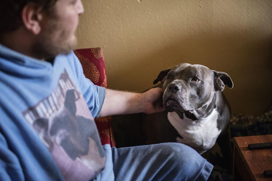 Spencer Parks, 33, pets his sweet Staffordshire Terrier mix, Duchess, in their hotel room on Friday, Jan. 21, 2022, in Winston-Salem, N.C. &amp;quot;They say don&#x27;t choose a dog, let the dog choose you,&amp;quot; Parks said. &amp;quot;She chose me. That dog is my soulmate.&amp;quot; (Allison Lee Isley/The Winston-Salem Journal via AP)