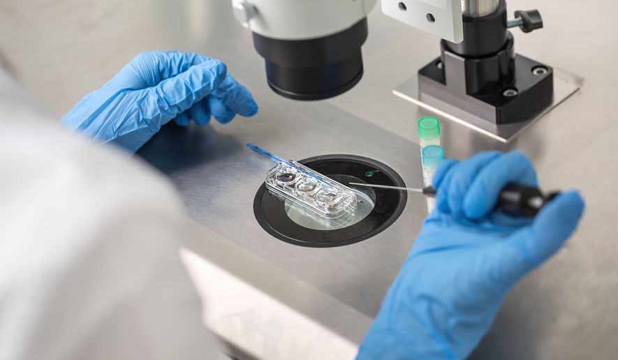 Technician in blue gloves does a control check of the in vitro fertilization process using a microscope. (Photo credit: bezikus via Shutterstock) **FILE**