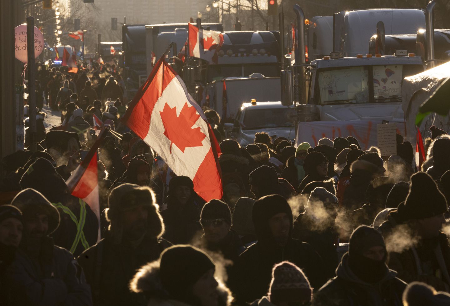 Freedom truck convoy pushes Ottawa mayor to declare state of emergency